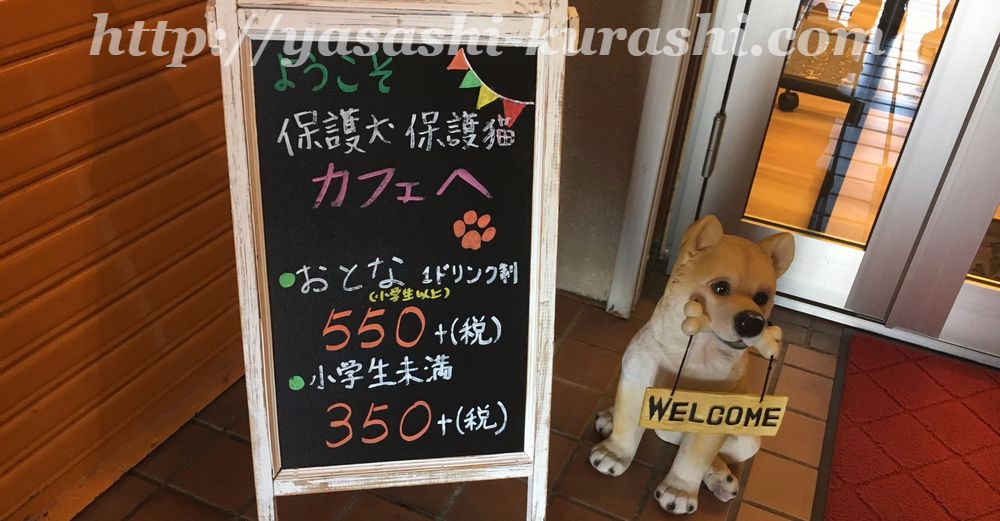 保護犬カフェ,川西,兵庫