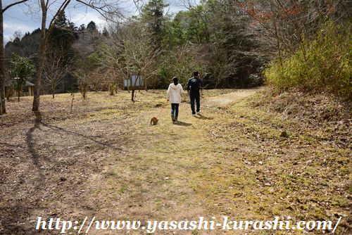 宝塚西谷の森公園,犬との定番散歩コース,ワンちゃん散歩,ハイキング,穴場スポット,犬とお出かけ
