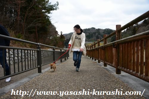 宝塚西谷の森公園,犬との定番散歩コース,ワンちゃん散歩,ハイキング,穴場スポット,犬とお出かけ