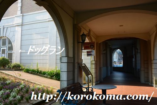 兵庫ドッグラン,無料のドッグラン,関西のドッグラン,神戸フルーツフラワーパーク,わんこと一緒にゴーカート