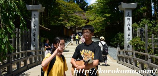 高野山,犬連れOK,ワンコ連れ,ゴン,ペットと一緒に,ワンコと一緒,金剛峯寺,壇上伽藍