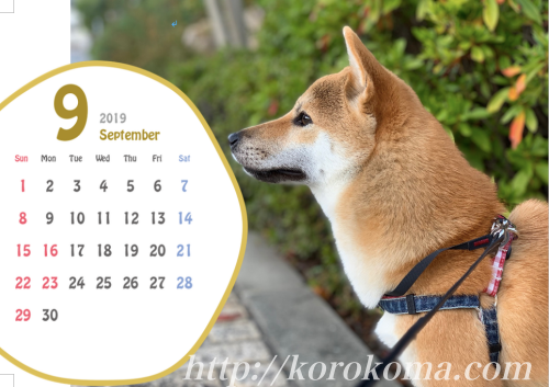 カレンダー,テンプレート,オリジナル,愛犬カレンダー