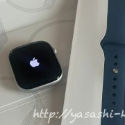 Apple Watch,アップルウォッチ,ANAマイル,ANAショッピング