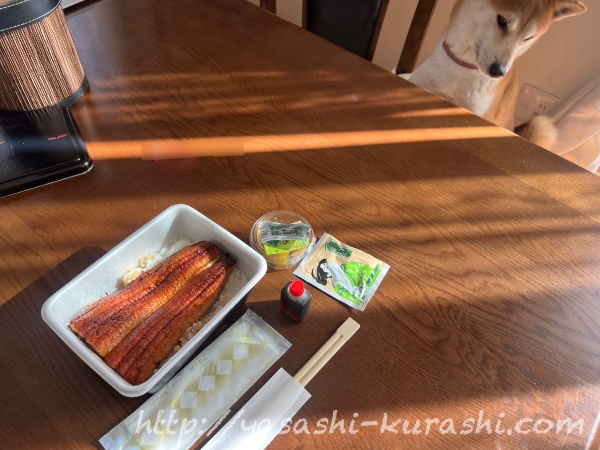 鰻の成瀬,鰻専門店