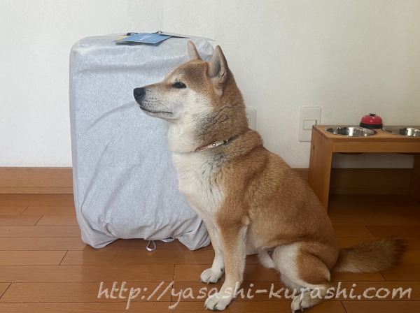 ANAマイル,マイル,機内持ち込み,スーツケース,キャリーケース