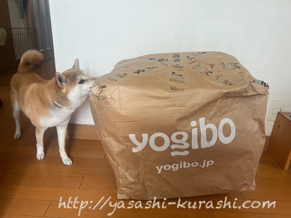 茨城県境町,ふるさと納税,返礼品,yogibo,ヨギボー