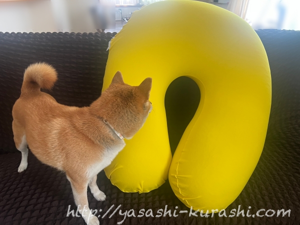 茨城県境町,ふるさと納税,返礼品,yogibo,ヨギボー