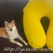 茨城県境町,ふるさと納税,返礼品,yogibo,ヨギボー