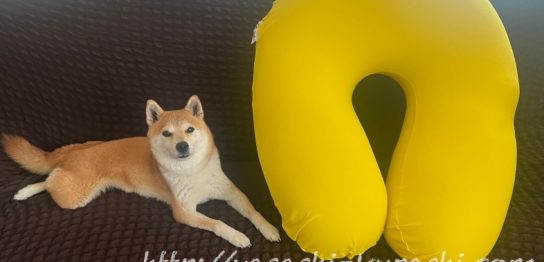 茨城県境町,ふるさと納税,返礼品,yogibo,ヨギボー