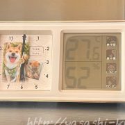 神奈川県川崎市,ふるさと納税,返礼品,目覚まし時計,温度湿度計