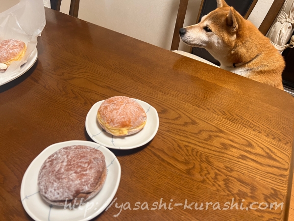 ドットドーナツ,生ドーナツ,.donut