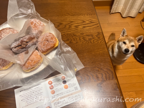 ドットドーナツ,生ドーナツ,.donut