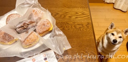 ドットドーナツ,生ドーナツ,.donut