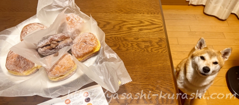 ドットドーナツ,生ドーナツ,.donut